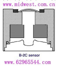 M3339燃料電池(TELEDYNE)   T1-B-2C工廠,批發,進口,代購