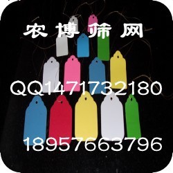 農用塑料標簽 園藝標簽 種子塑料標簽 塑料標簽工廠,批發,進口,代購