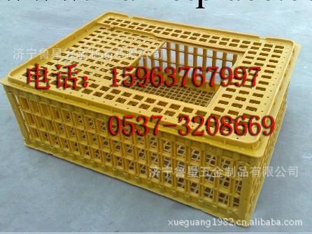 供應塑料雞籠 黃顏色 雞籠  自重12斤批發・進口・工廠・代買・代購