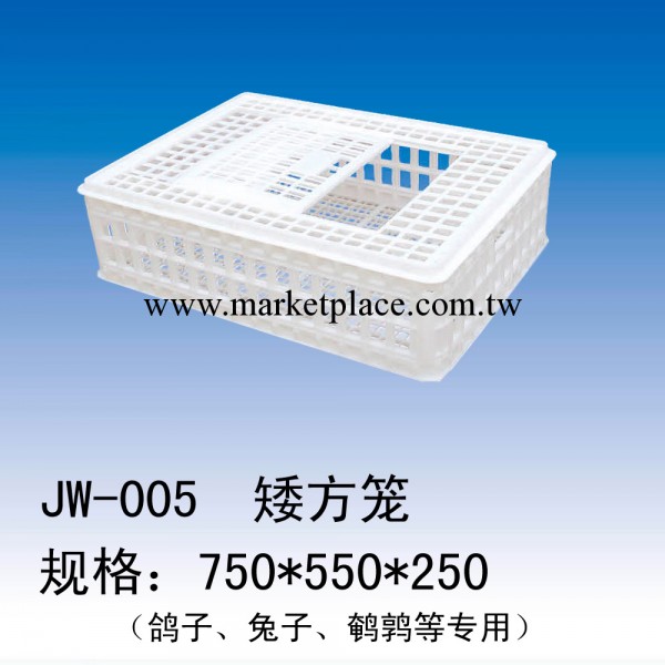 JW-005 矮方籠（鴿子、兔子、鵪鶉等專用） 運輸、周轉、養殖臨沂工廠,批發,進口,代購