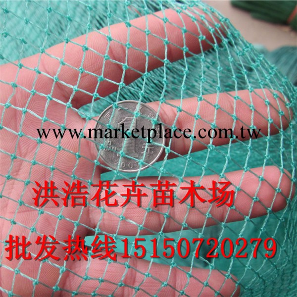 直銷塑料養雞網 塑料材質 雞網 養殖網 結實耐用 適宜傢禽攔雞網工廠,批發,進口,代購