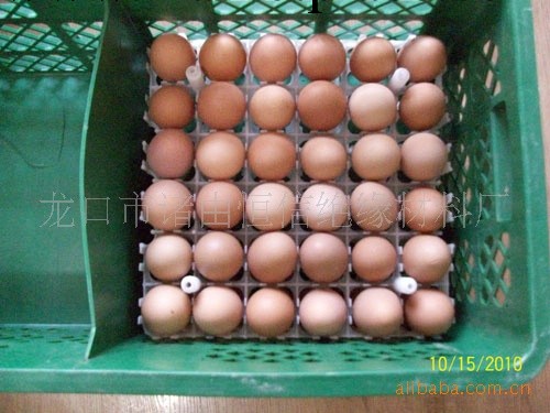 36枚塑料雞蛋托、種蛋托、孵化器托盤批發・進口・工廠・代買・代購