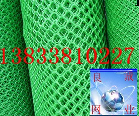 長期供應銷售 塑料平網 鍍鋅電焊網歡迎訂購工廠,批發,進口,代購
