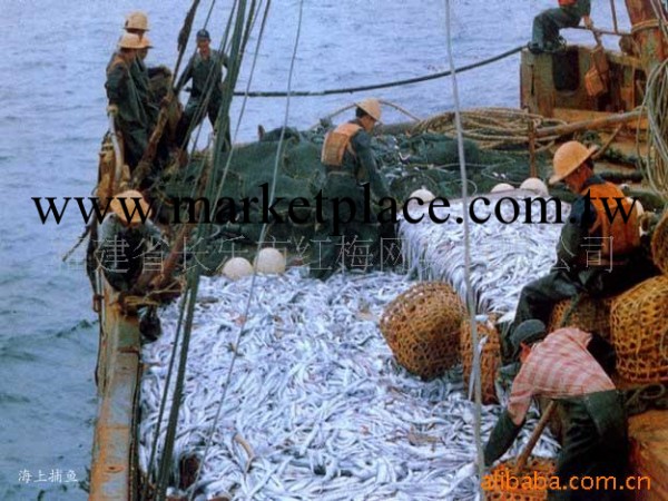 供應《紅梅牌》優質聚乙烯繩網、漁網漁具工廠,批發,進口,代購
