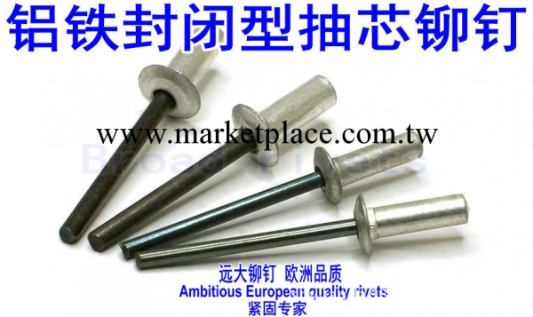 圓頭封閉型鋁鐵抽芯鉚釘 5056鋁材質6.4*10-40工廠,批發,進口,代購