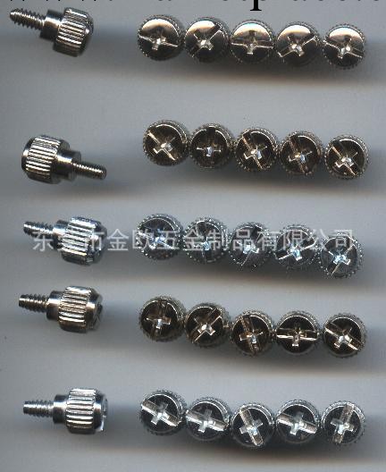 平頭鐵手擰螺絲系列兩款工廠,批發,進口,代購