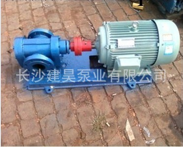 優質供應YZB-4.2/2.5硬齒麵渣(焦)油泵 硬齒焦油泵 廠價直銷 混批工廠,批發,進口,代購