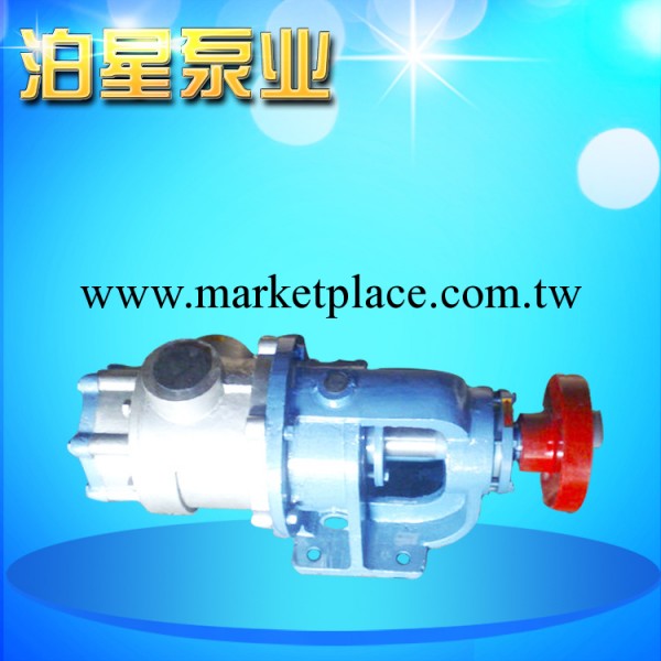 熱銷推薦 NYP-3/1.0微型不銹鋼高黏度轉子泵批發・進口・工廠・代買・代購