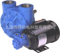 上海煜柯供應銷售美國泰悉爾磁力驅動齒輪泵 Tuthill齒輪泵工廠,批發,進口,代購