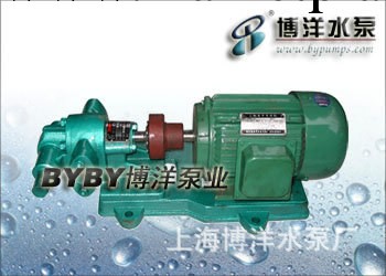 上海工博牌2CY型齒輪潤滑油泵工廠,批發,進口,代購