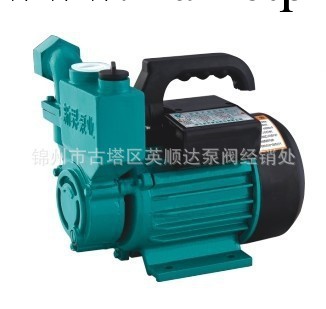 新界1WZB-35T型鐵殼漩渦式 微型自吸泵  傢用自吸泵 錦州批發・進口・工廠・代買・代購