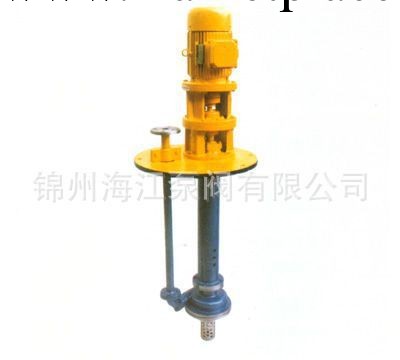 錦州供應FY型液下泵 高溫耐腐蝕 耐硫酸批發・進口・工廠・代買・代購