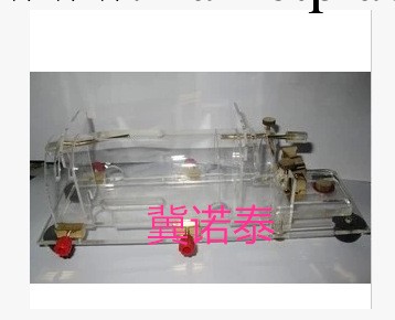 大鼠固定器/大白鼠固定器/大鼠固定器250克350克大鼠固定器工廠,批發,進口,代購