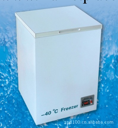 -40℃低溫冰箱DW-FW110 低溫儲存箱 低溫保存箱批發・進口・工廠・代買・代購