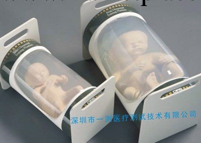 超聲胎兒模體,對醫用超聲設備進行性能評估,尤其是測量胎兒技術。批發・進口・工廠・代買・代購
