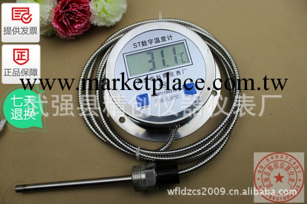 不銹鋼壓力式溫度計 數顯溫度計 電子溫度計DTM-491工廠,批發,進口,代購