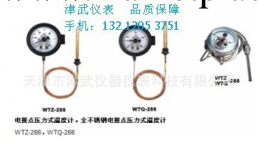 WTZ-288，WTQ-288電接點壓力式指示溫度計 天津溫度計廠傢直銷工廠,批發,進口,代購