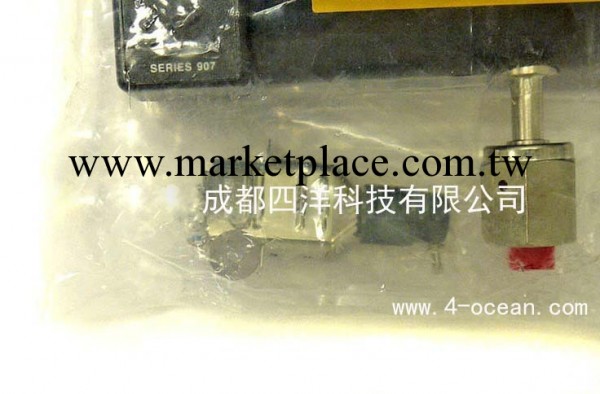 MKS HPS 109070029CE工廠,批發,進口,代購