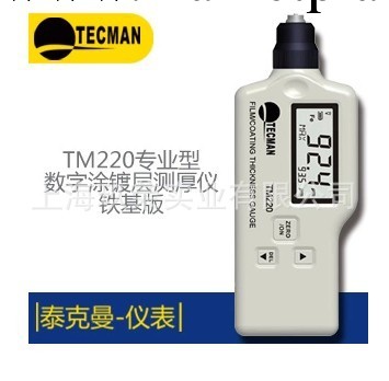 泰克曼TM220 一體塗層測厚機 鐵基油漆厚度測試機 漆膜厚度計工廠,批發,進口,代購