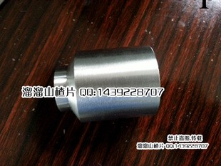 M27X2熱電偶底座    熱電阻底座  一個凸臺 非標定做工廠,批發,進口,代購