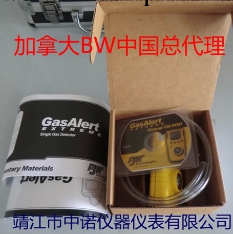 GAXT-A氨氣泄漏檢測機加拿大BW原裝正品特價促銷泄漏報警器工廠,批發,進口,代購
