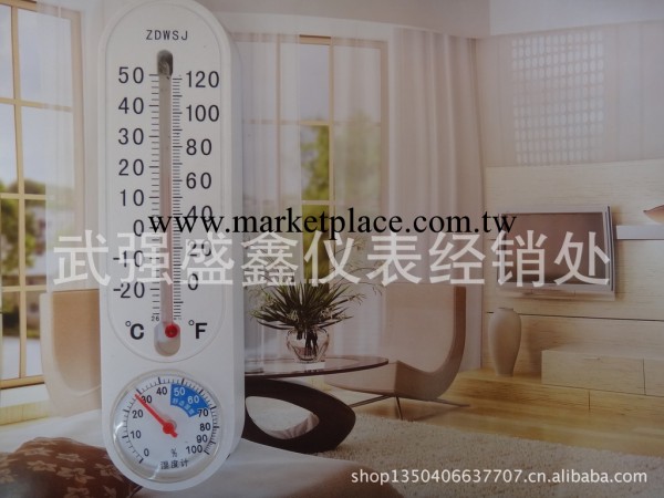 河北廠傢 室內傢居 直觀 指針式溫度計 溫度表 A2直讀式 溫濕度計工廠,批發,進口,代購