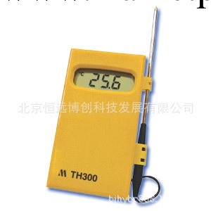 TH300溫度計工廠,批發,進口,代購