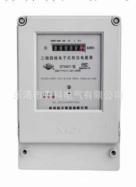 杭州西子DTS601三相電子表/電度表/電能表批發・進口・工廠・代買・代購