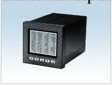 過程控制無紙記錄機噴灌記錄機增強型單色無紙記錄機表工廠,批發,進口,代購