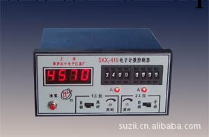 計算控制器SKX2-4P工廠,批發,進口,代購