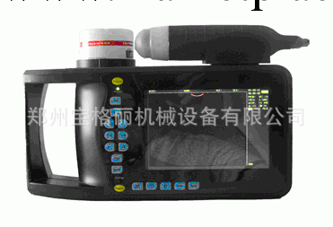 b超測孕機 獸用b超測孕機 母豬測孕機動物b超  精準測量誤差小工廠,批發,進口,代購