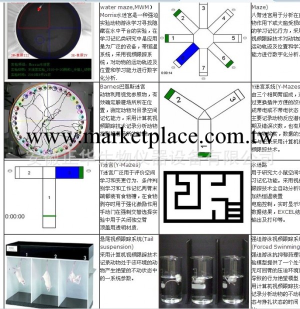 動物行為學實驗站工廠,批發,進口,代購