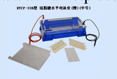 北京六一廠機器 DYCP-33B型 瓊脂糖水平電泳機(槽)  (中號)工廠,批發,進口,代購