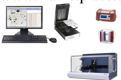 雙向電泳分析系統/BOT電泳系統工廠,批發,進口,代購