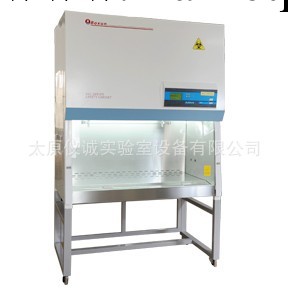 上海博迅生物安全櫃（100%外排）BSC13OOIIB2工廠,批發,進口,代購