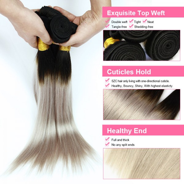 Ombre Brazilian Straight Virgin human Hair  銀灰 假發 發條工廠,批發,進口,代購