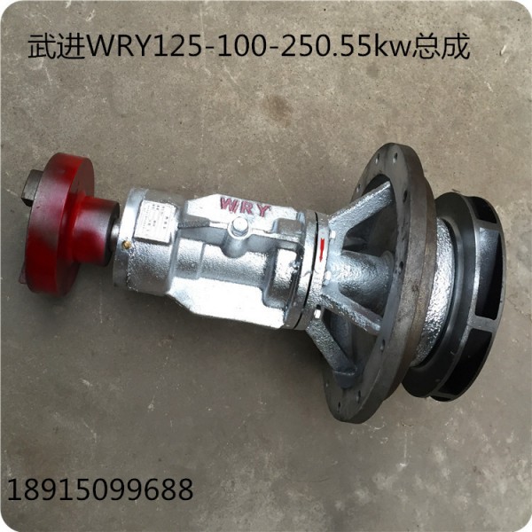 WRY熱油泵/熱油泵總成125-100-250#/55kw導熱油泵總成/武進熱油泵工廠,批發,進口,代購