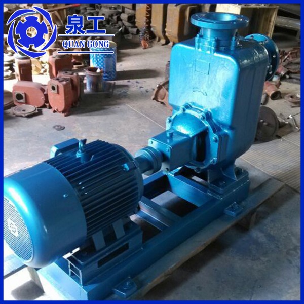 專業供應 65zx25-32鑄鐵自吸泵 電動超強自吸泵批發・進口・工廠・代買・代購