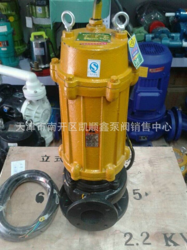 銷售供應上海人民水泵，排水泵，工程專用泵65WQ25-20-3KW工廠,批發,進口,代購