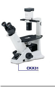 Olympus/奧林巴斯CKX31-A11RC雙目倒置生物顯微鏡批發・進口・工廠・代買・代購