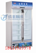 供應白雪SC-600F上海白雪冰櫃/冷藏展示櫃/醫用冷藏展示櫃茶葉櫃批發・進口・工廠・代買・代購