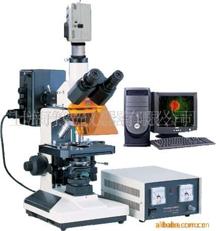 供應熒光顯微鏡 三目型TYU-40C批發・進口・工廠・代買・代購