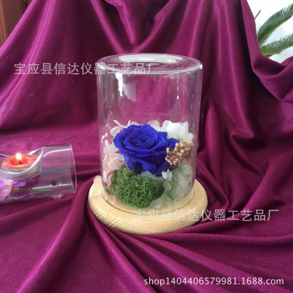 供應 超美DIY創意透明玻璃罩永生花 時尚傢居飾品 聖誕節禮物工廠,批發,進口,代購