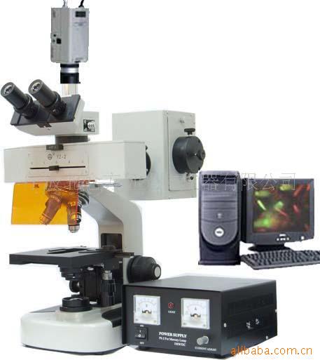 多功能專業熒光顯微鏡XYG-01SM平場目鏡 顯微鏡數位電子可接電腦批發・進口・工廠・代買・代購
