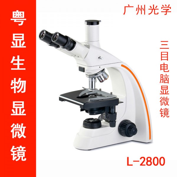 三目生物顯微鏡L2800/無限遠生物顯微鏡醫療教學科研光學顯微鏡工廠,批發,進口,代購