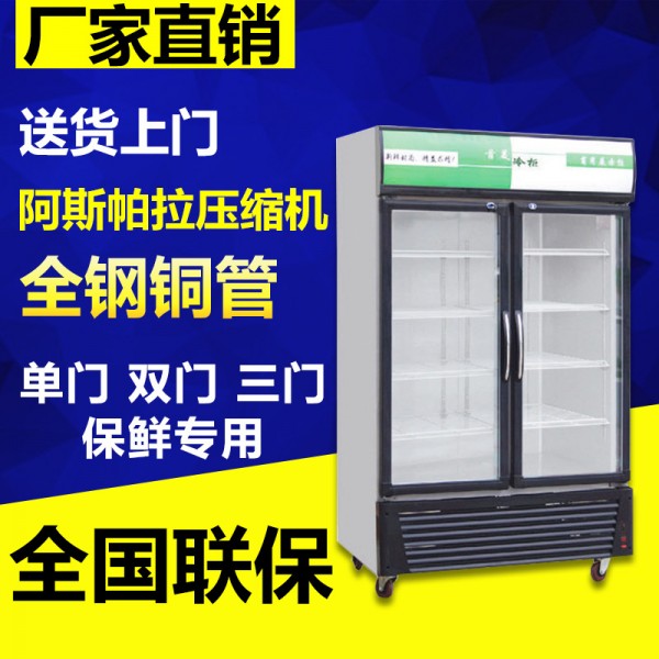 商用冰櫃展示櫃 便利店超市立式雙門飲料冰櫃 水果保鮮櫃展示櫃批發・進口・工廠・代買・代購