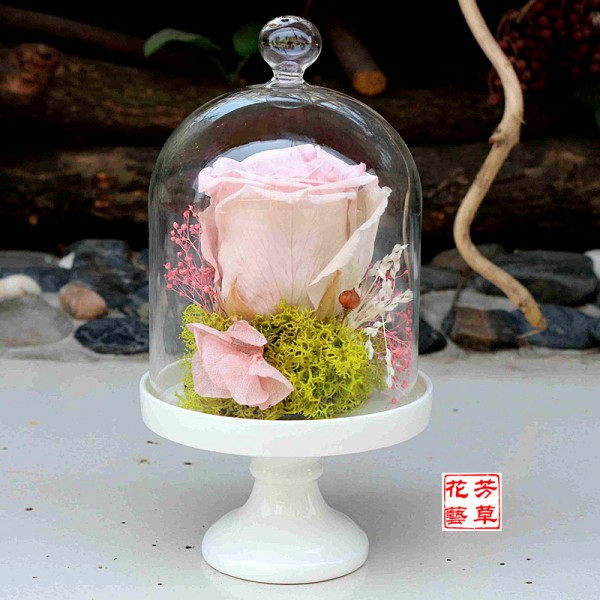 新款粉玫瑰玻璃罩永生花生日七夕情人聖誕節禮物工廠,批發,進口,代購