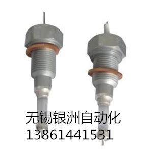 銀洲廠傢直供鍋爐電療 質量佳[電廠汽包水位電療]M22×2.0×97mm工廠,批發,進口,代購