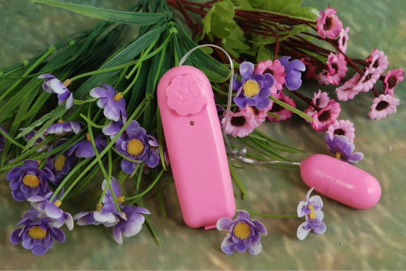 單跳蛋 震動妻情趣用品 女性自慰用品 成人情趣情趣用品批發代發工廠,批發,進口,代購