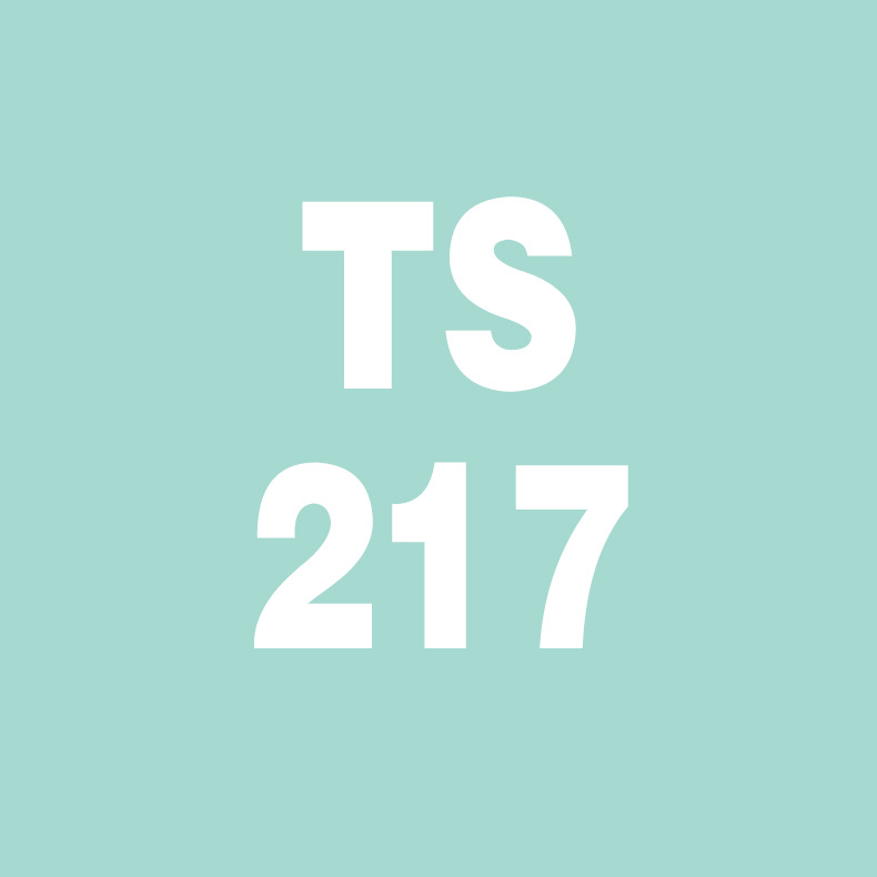 2016夏季新款童裝童T恤條紋繡花親子短袖一件代發微信代理TS217工廠,批發,進口,代購